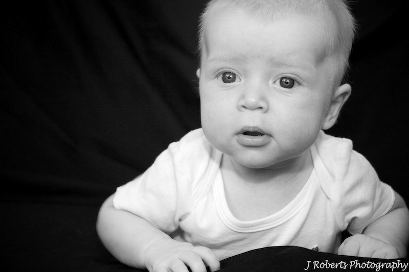 Black and white baby portrait - baby portrait photography sydney